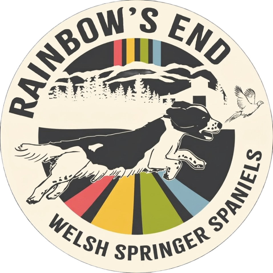 Rainbow's End logo